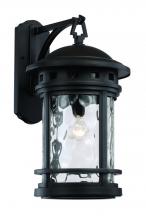 Trans Globe 40372 BK - Boardwalk Collection 1-Light, Hook Hanging Wall Lantern with Water Glass