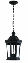 Trans Globe 40406 BK - Westfield Hexagon Shaped, Clear Glass Outdoor Pendant Light with Chain