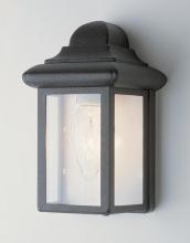 Trans Globe 44835 BC - Vista 1-Light,Clear Glass Sides with Metal Pagoda Top, Pocket Wall Lantern