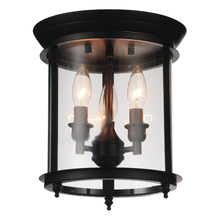 CWI Lighting 9809C10-3-109 - Desire 3 Light Cage Flush Mount With Oil Rubbed Bronze Finish